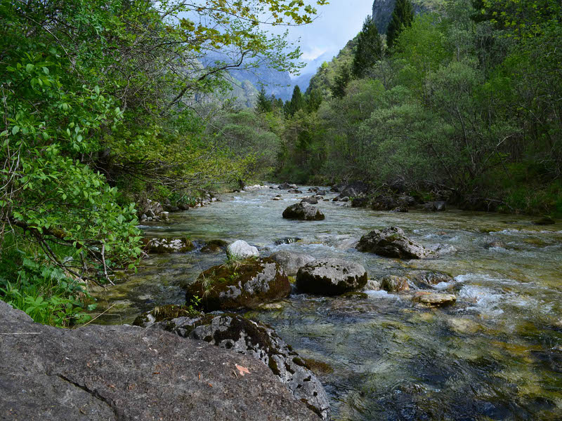Val Canzoi, Caorame stream