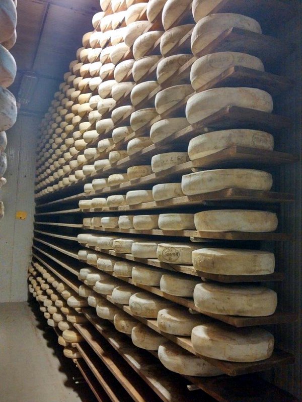 Casel Bellunese Cheese