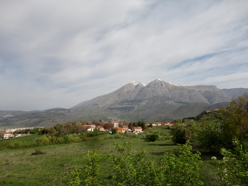 View on Velino