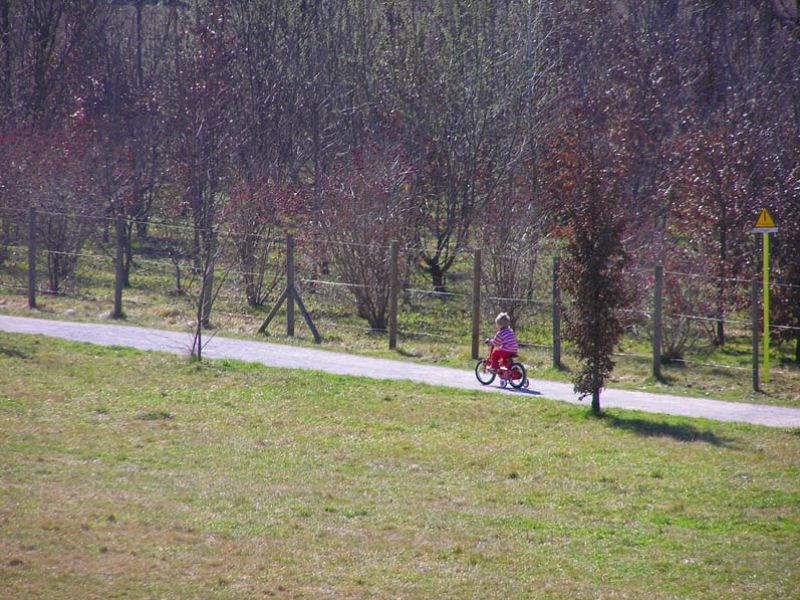 ciclista in erba... a rotelle