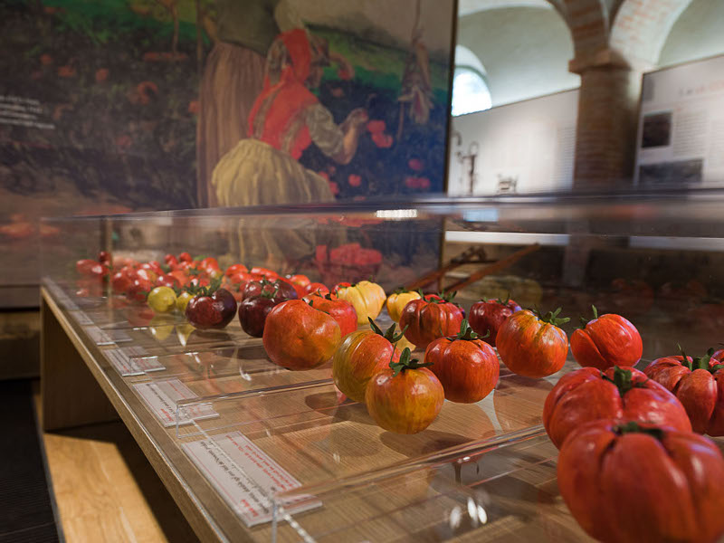 Giarola Museum of Tomato