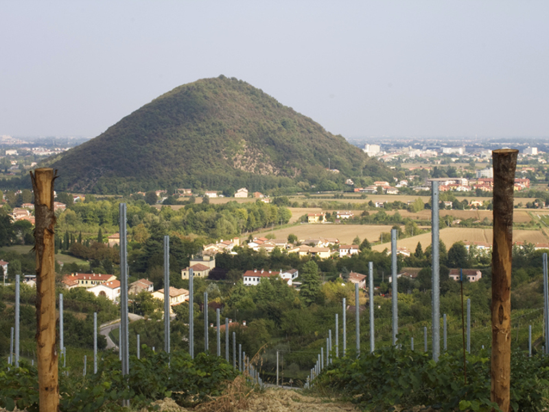 View of Monte Ortone