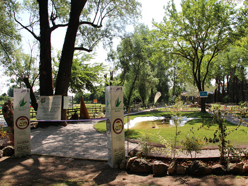 Botanical Garden of Buzzaccarini Park