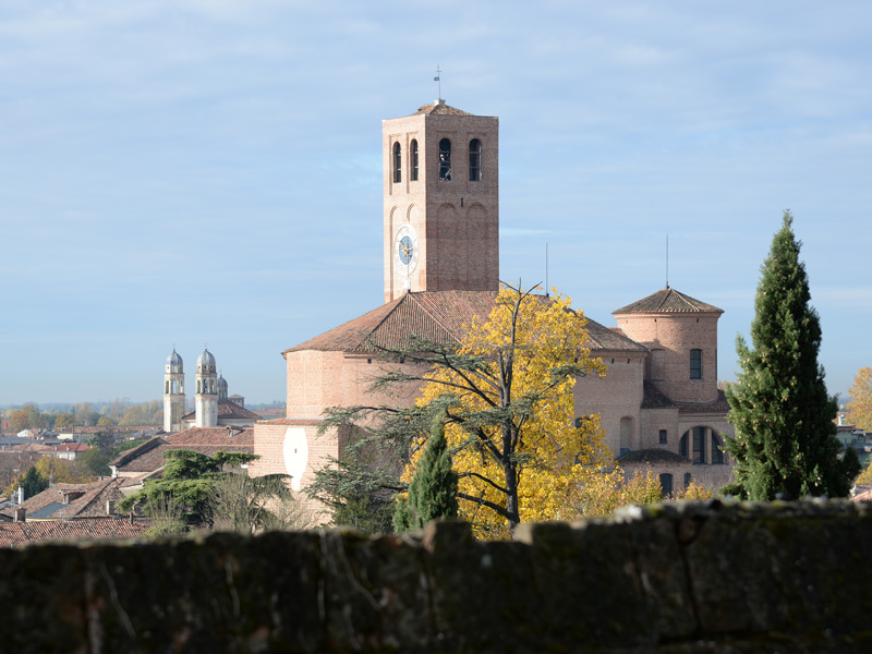 Este. Panorama verso Duomo di S. Tecla
