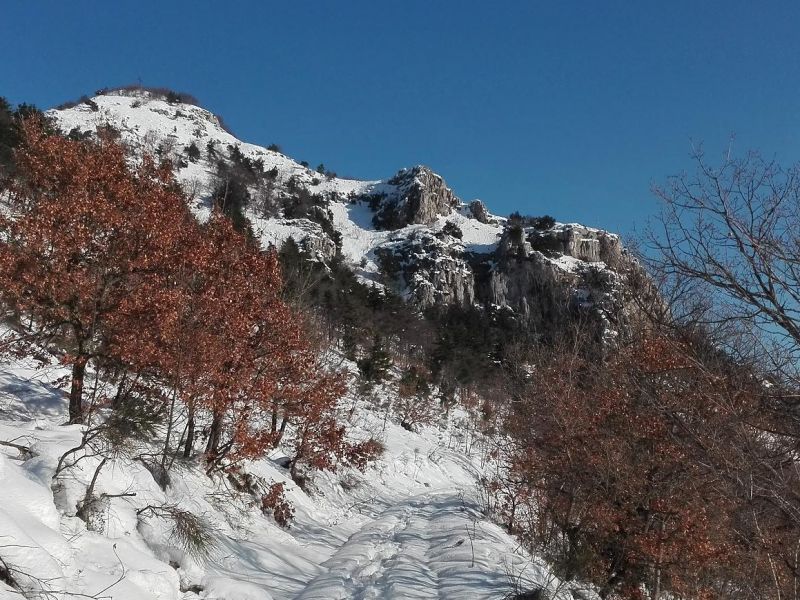 Berg Revellone