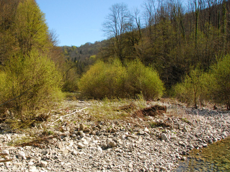 Habitat 3220 Alpine rivers with herbaceous riparian vegetation