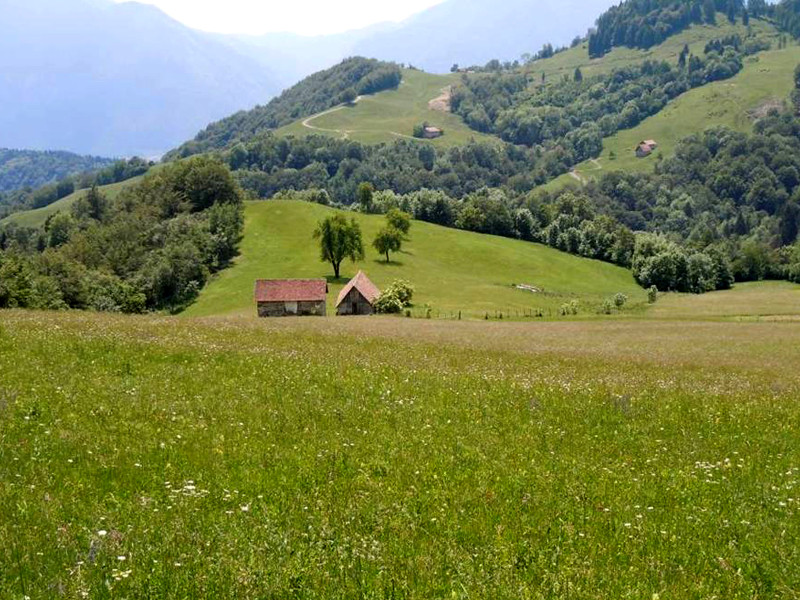 Mowing meadows near Pani di Raveo