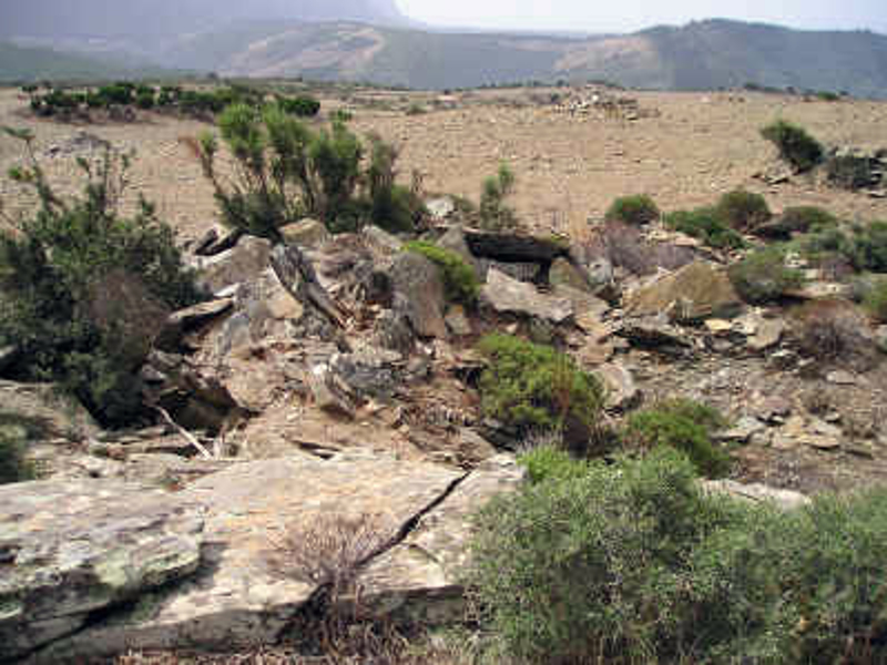 Tomba megalitica-alleè Sas Seddas I