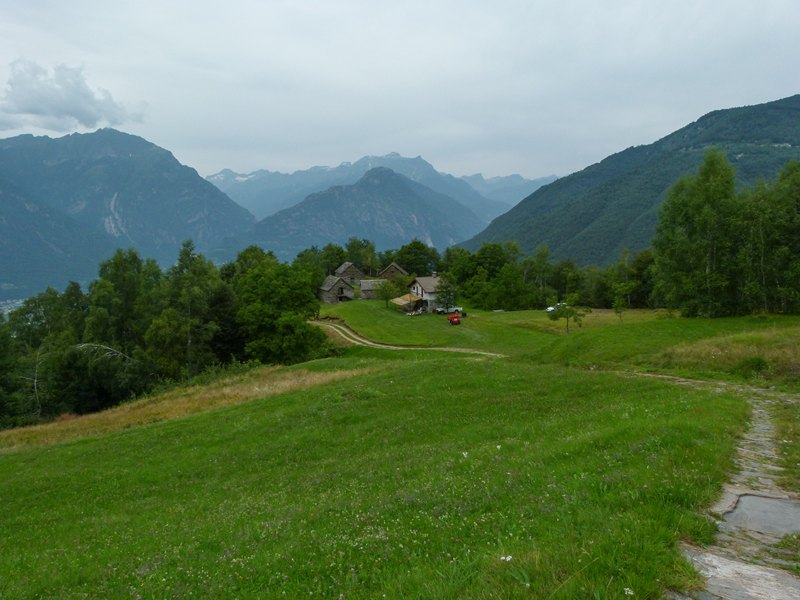 Auffahrt zur Alpe Briasca