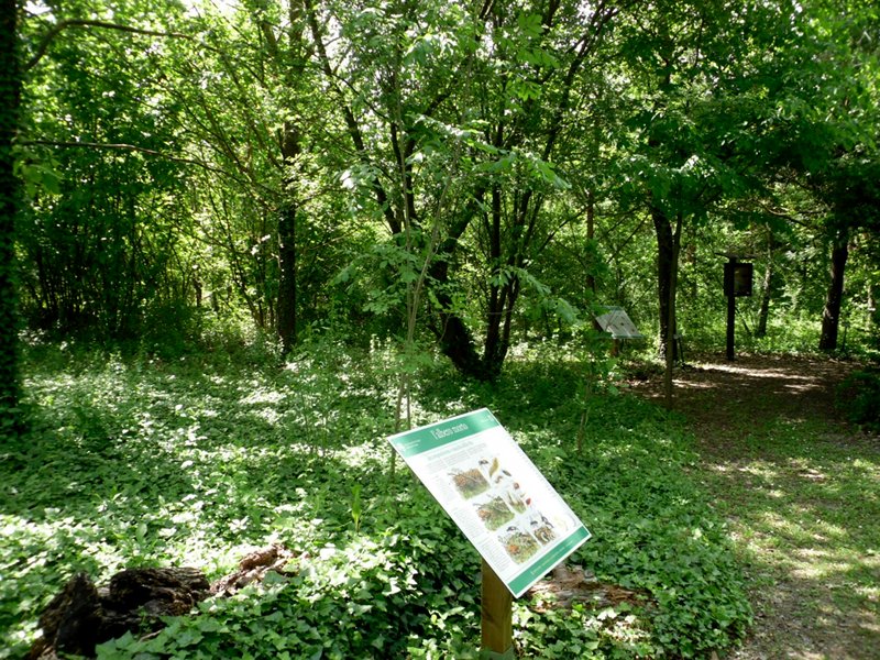 Sentiero e pannello didattico nell'area di riequilibrio ecologico Villa Romana di Russi