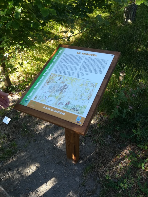 Lesetafel Buchenwald Botanischer Garten