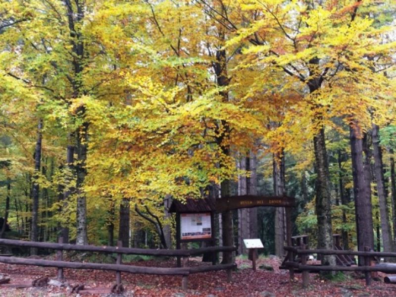 Eingang Museum des Waldes im Herbst