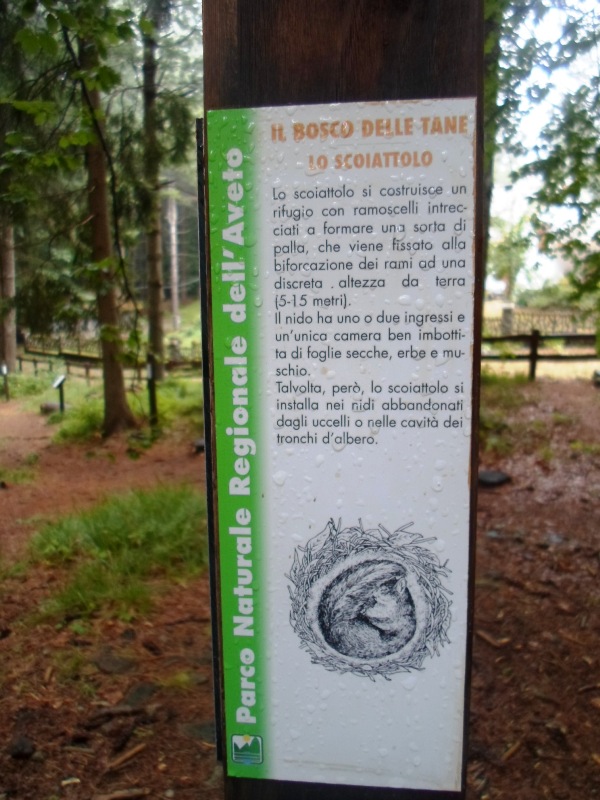 Museo del Bosco: lamierini il Bosco delle Tane
