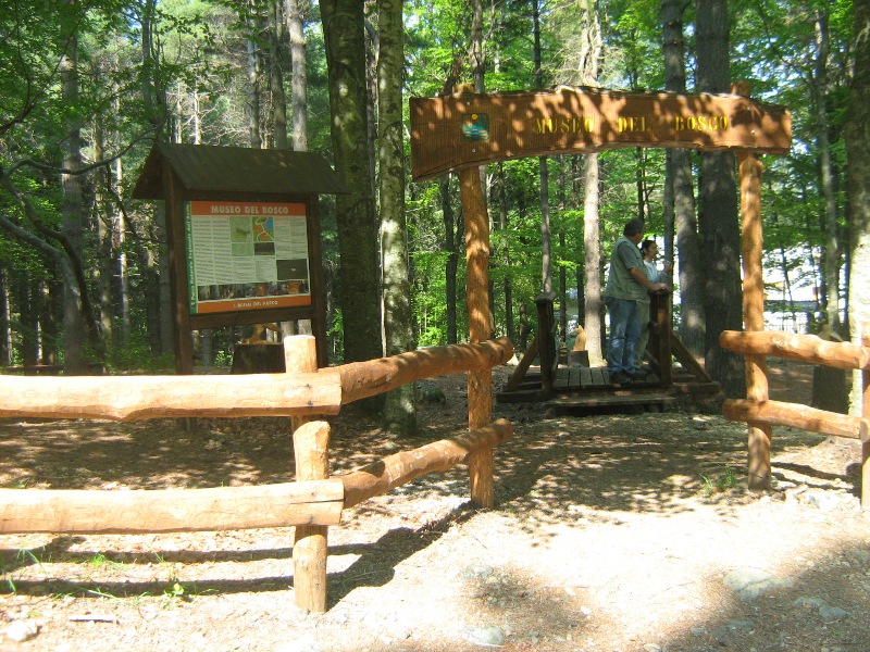 Museum des Waldes: Eingang Ausstellungsgebiete im Freien