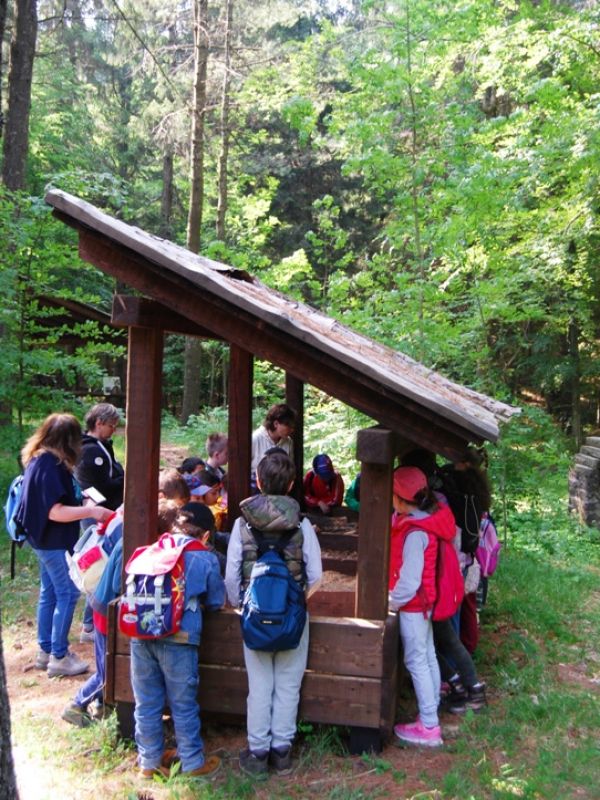 Museum des Waldes: Besuch einer Schulklasse