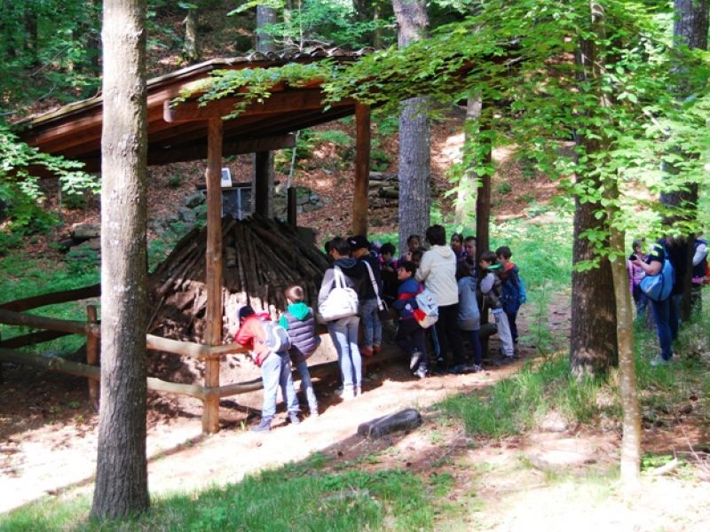 Museum des Waldes: Besuch einer Schulklasse