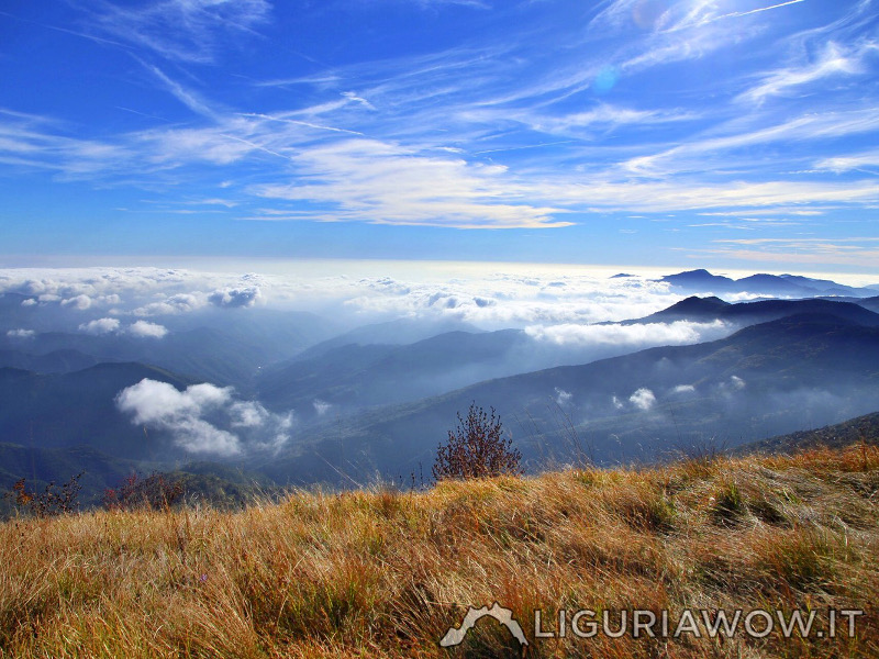 Panorama dal Monte Toraggio (Foto LiguriaWOW)