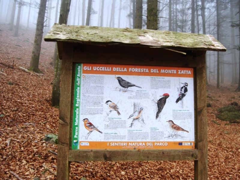 Tafel Vögel SN Foresta Zatta