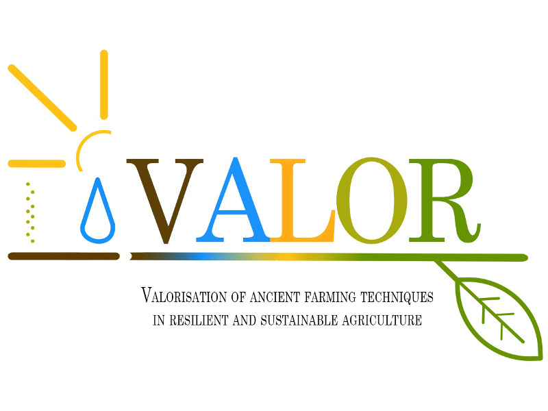 Project VALOR