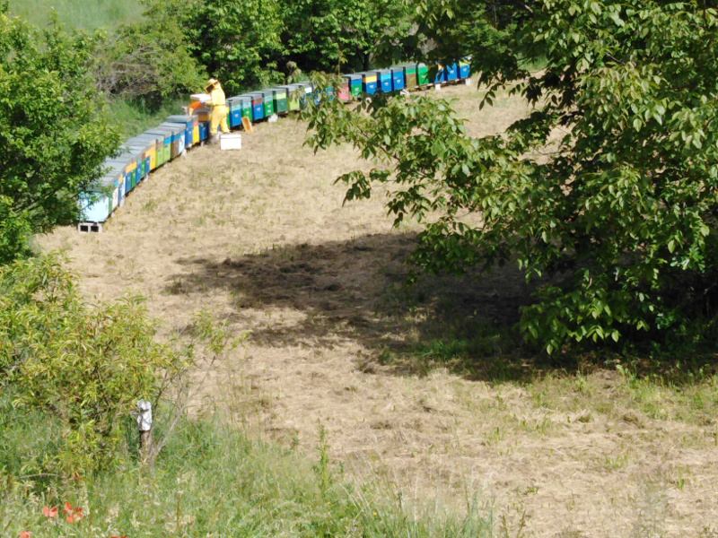 Gli apicoltori del Parco