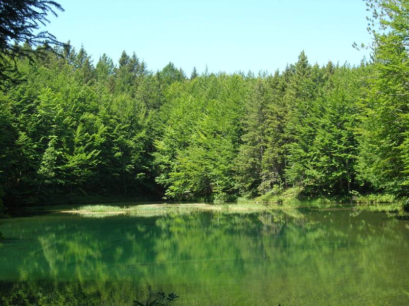 Riserva delle Agoraie: Lago degli Abeti