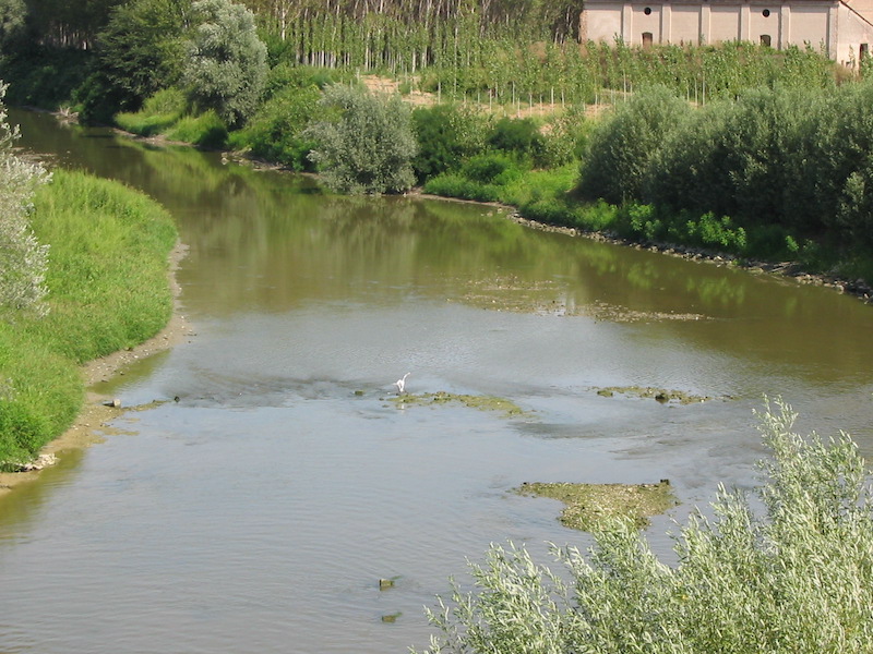 Riqualificazione fluviale canale Fossola