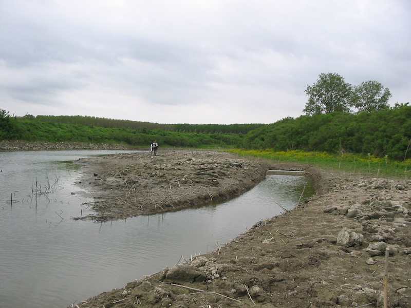 Riqualificazione fluviale canale Fossola