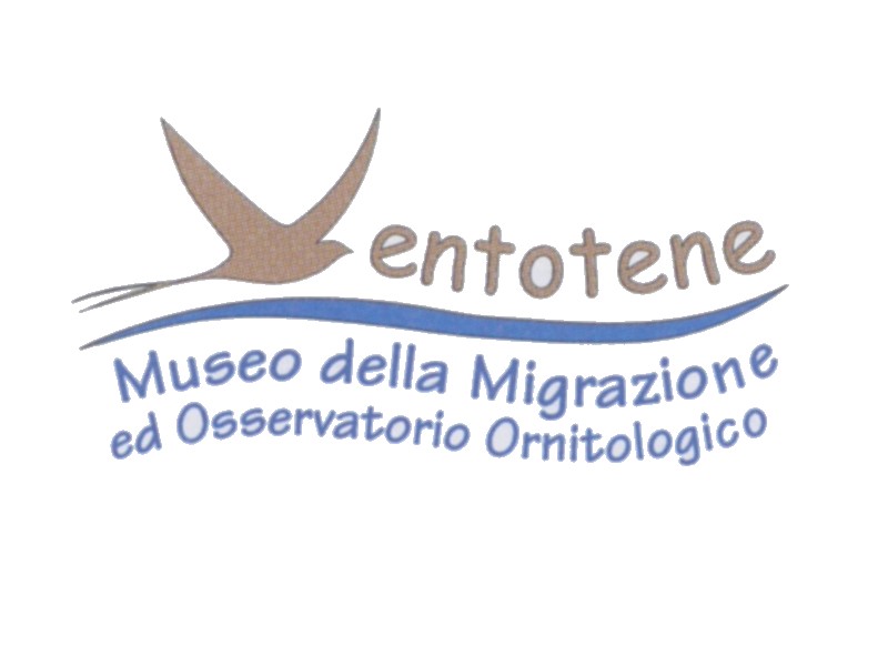Logo Museo Ornitologico