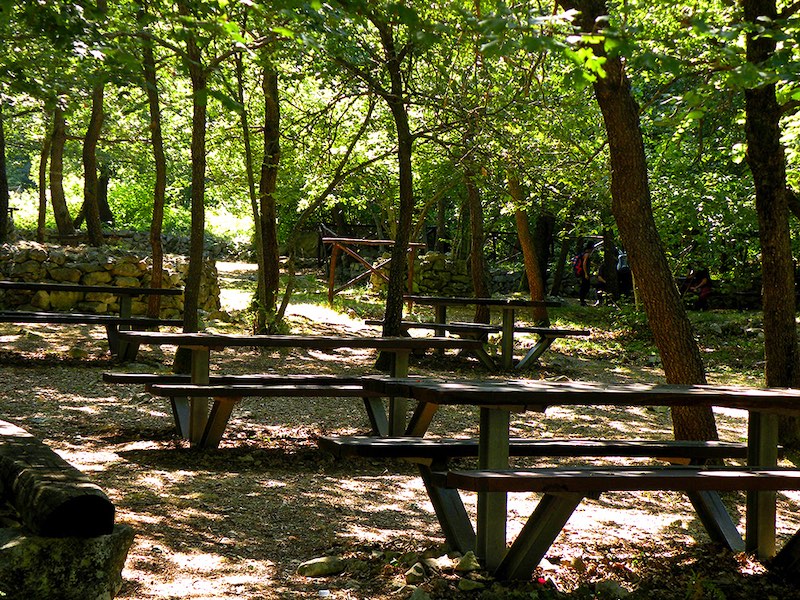 Green and Picnic Areas