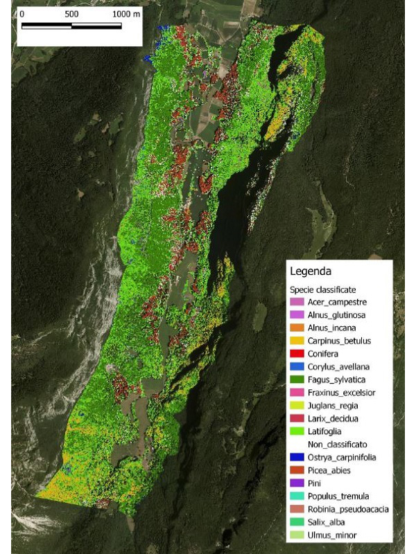 Mappa delle specie identificata in Val Lomasona con il progetto