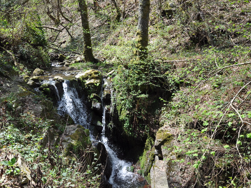 Water environment - stream