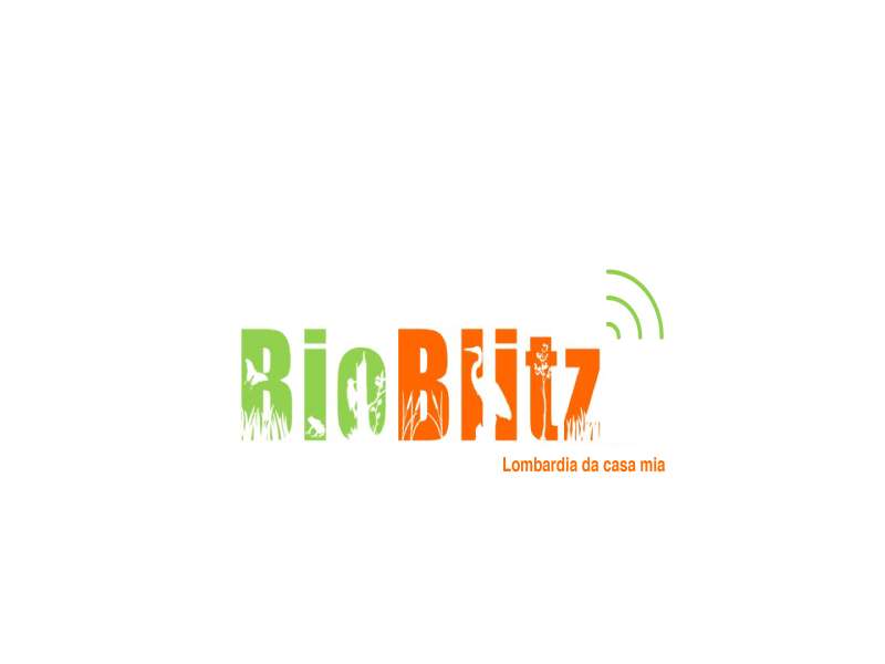 Logo Bioblitz virtuale