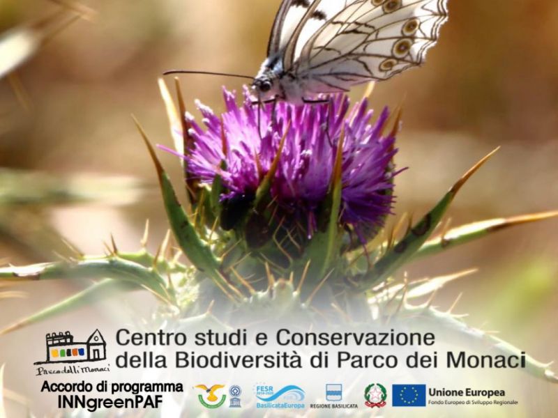 Centro Studi e Conservazione della biodiversità di Parco dei Monaci (Parco dei Monaci Biodiversity Study and Conservation Centre)