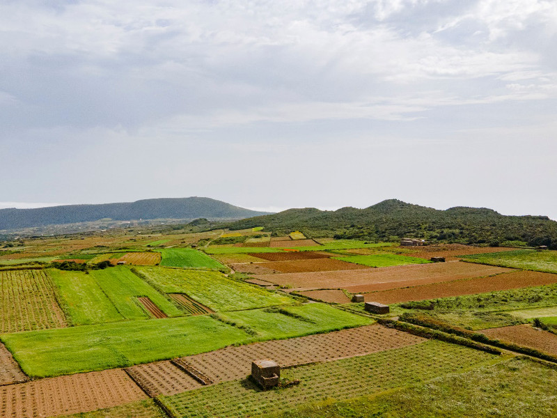 Figura 5: Visione panoramica dalla Cima di Cuddia Attalora osservando verso Nord/Nord-Est. In quest’area è possibile osservare la Piana di Barone, con le Cuddiole Dietro l'Isola (sulla destra)