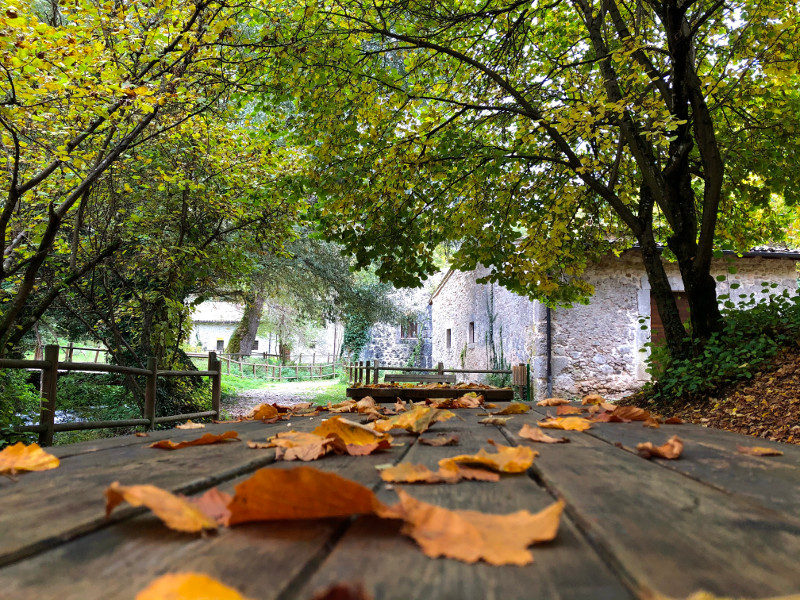 Scatta la Riserva photographic contest: Autumns at the mills