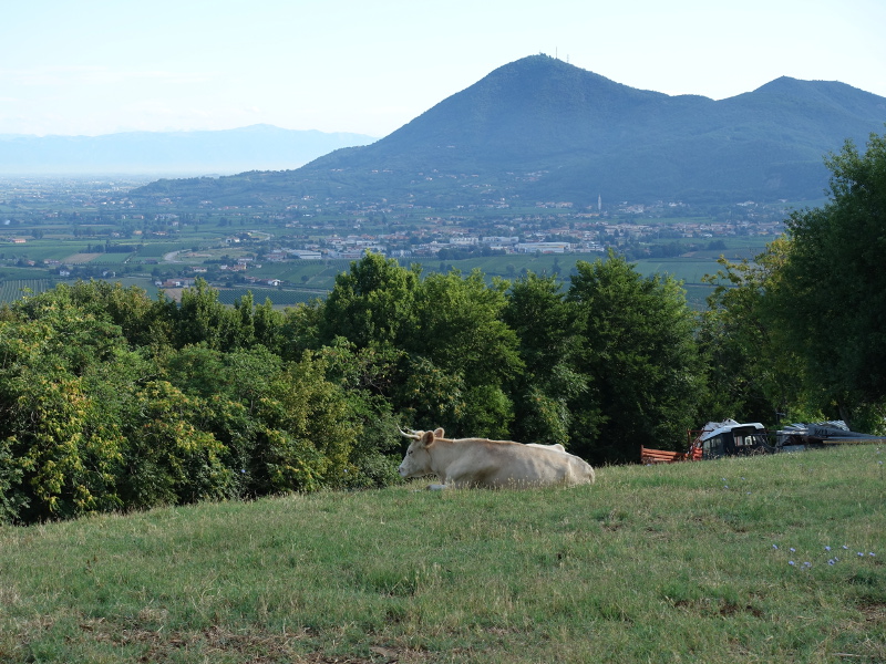 Panorama dal Sentiero del Monte Lozzo