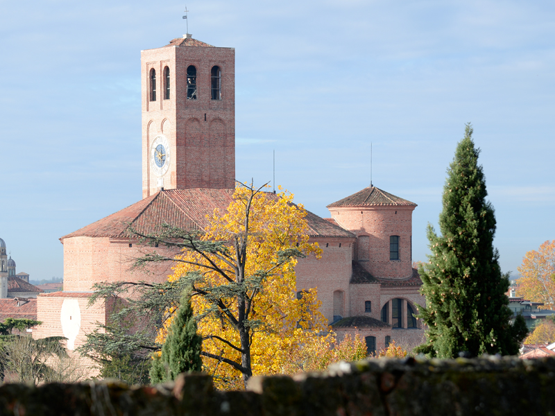 Duomo di Santa Tecla a Este