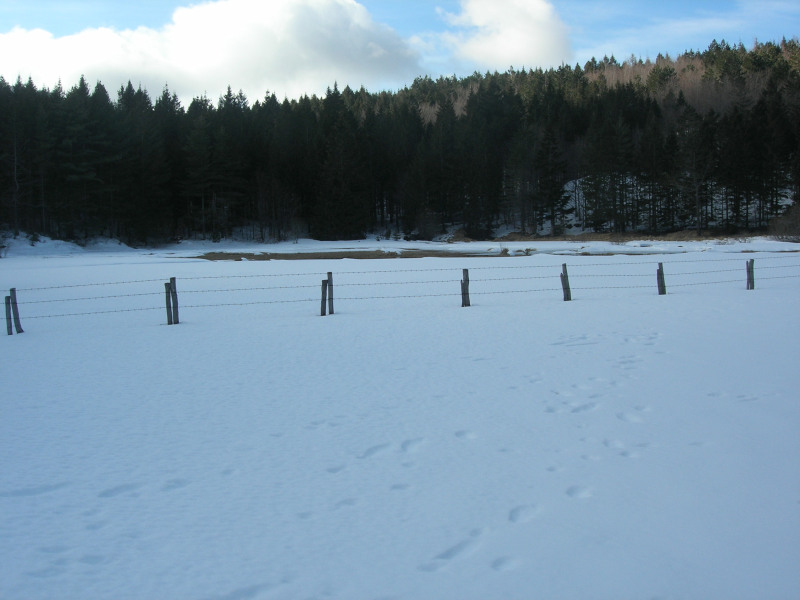 Foresta delle Lame - Winter Lago di fondo Agoraie