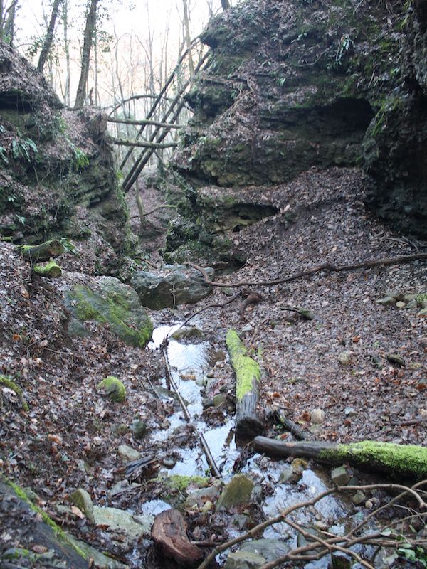 Stream at Vertemate inserted between the Ceppo Lombardo towards the Seveso