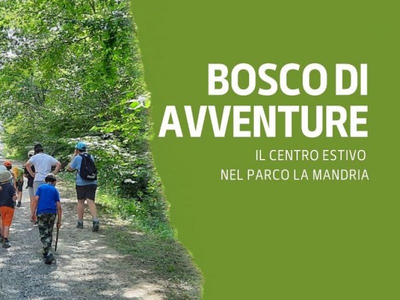 Bosco d'Avventure 2023