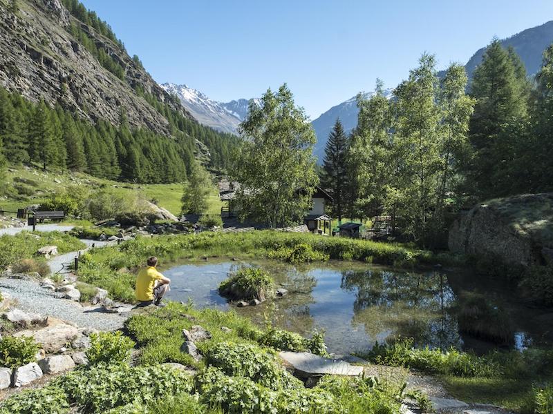 Giardino Botanico Alpino 'Paradisia'
