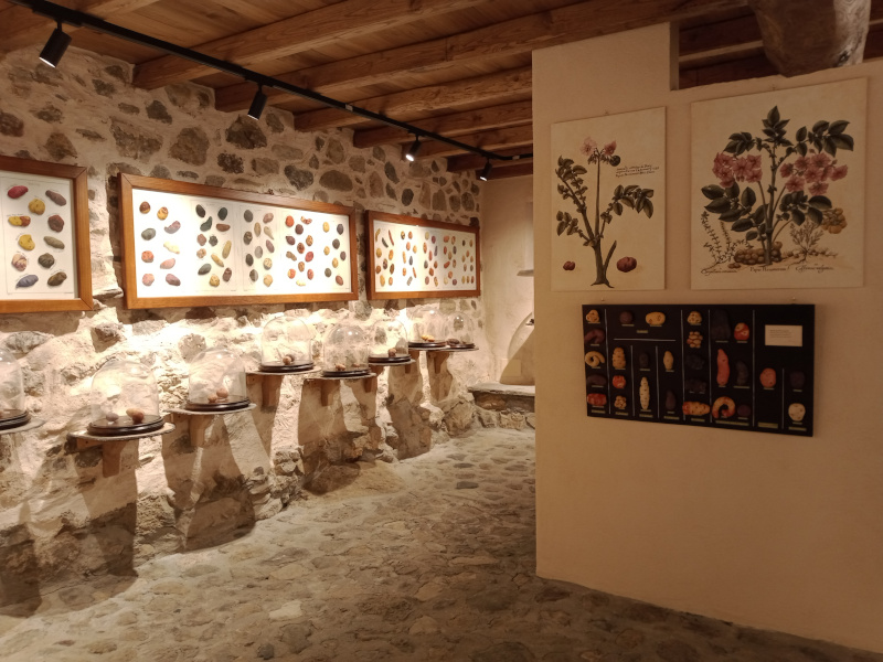 Dauerausstellung über die traditionellen Kartoffeln des genuesischen Berglands