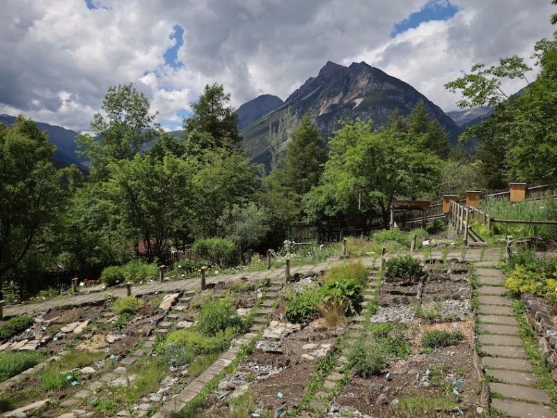 Alpiner Botanischer Garten 'Rezia'