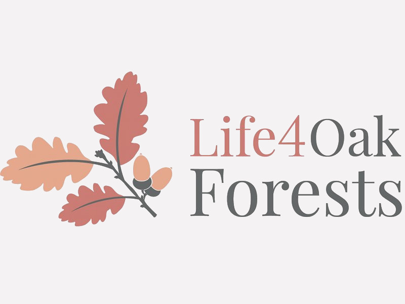 LIFE 4Oak Forests Day