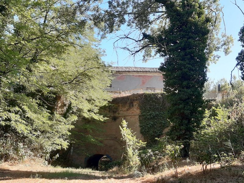 La Riserva di Alfonsine. Stazione 3 - La Fascia boscata del Canale dei Mulini