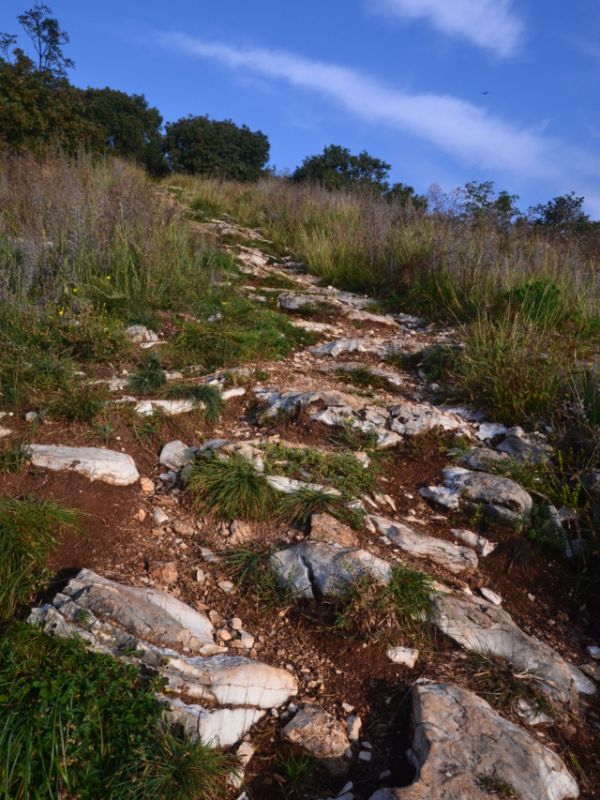 Path in the Oltre Mella Hills
