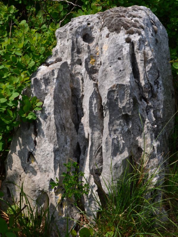 Karst rocks in the Rezzato hills