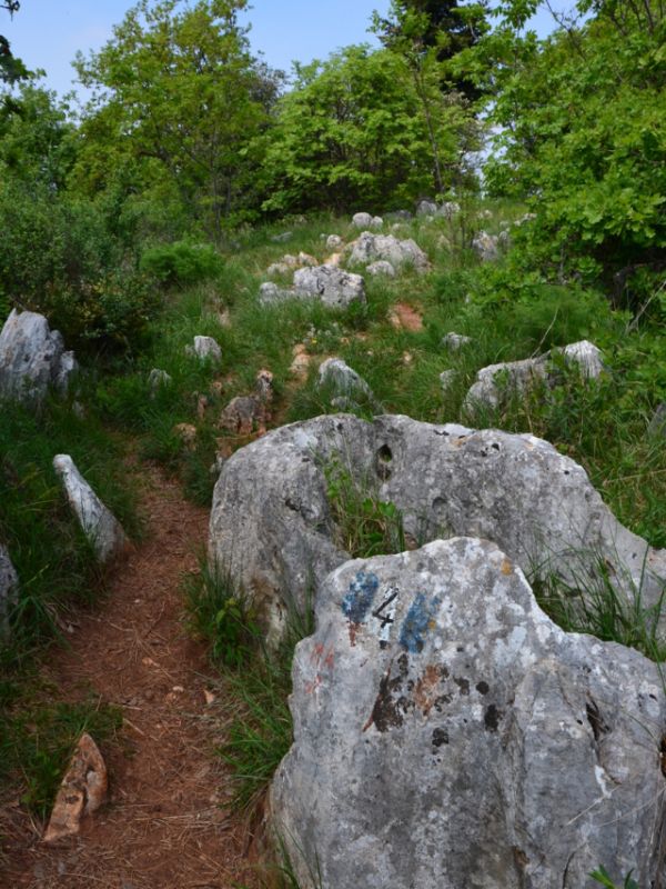 Path in Monte Fieno