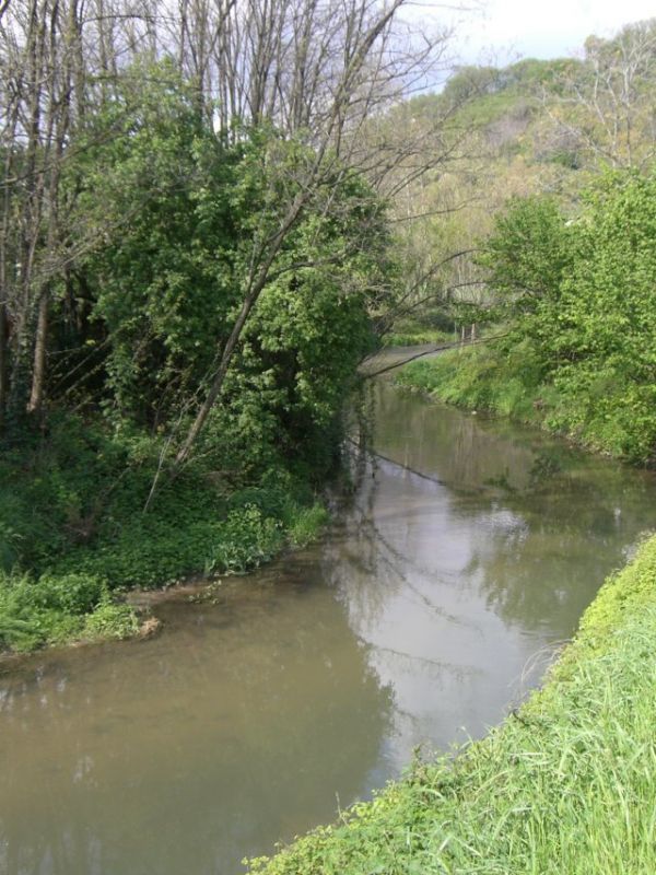 Gandovere stream near the town hall