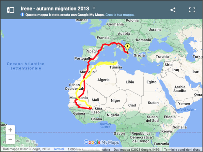 Mappa della migrazione del biancone Irene